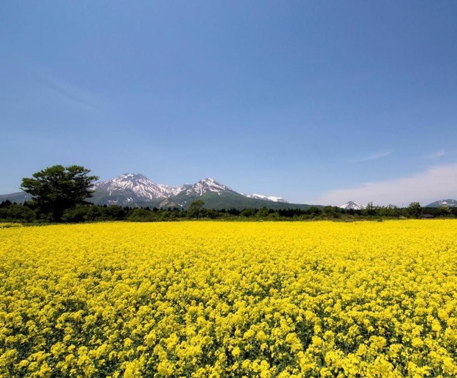 Akakura Park Hotel Myoko Zewnętrze zdjęcie