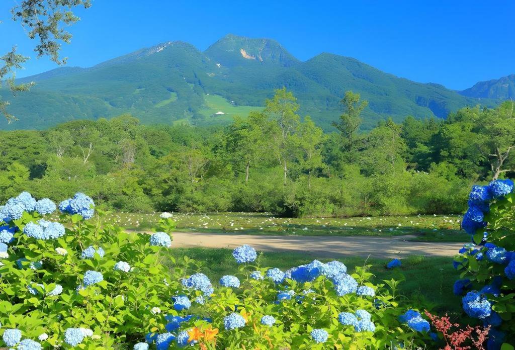Akakura Park Hotel Myoko Zewnętrze zdjęcie